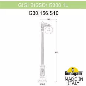 G30.156.S10.WYF1R