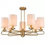 10166/7PL Brass