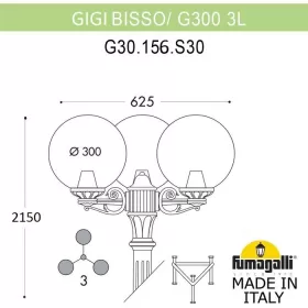 G30.156.S30.VXF1R