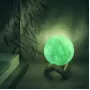 NN003