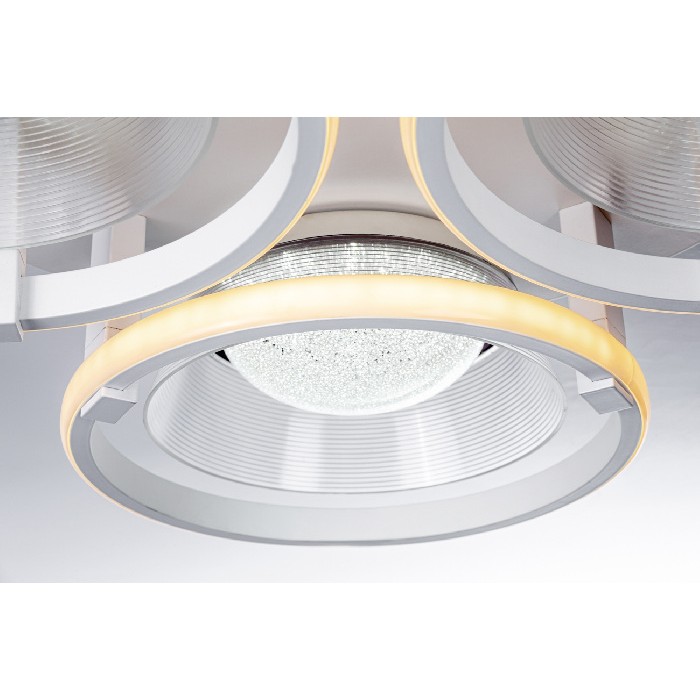 10209/6LED