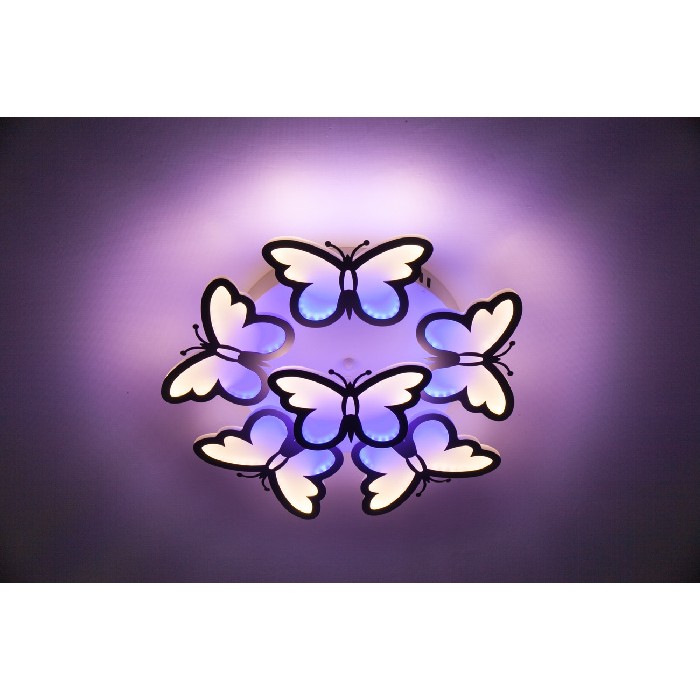 10205/5LED