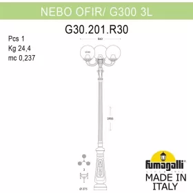 G30.202.R30.WZF1R