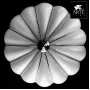 A2101PL-4WH