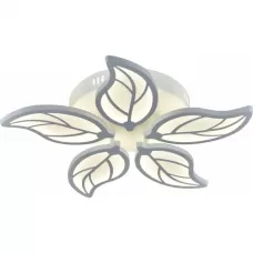 10214/5LED