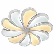 10204/10LED
