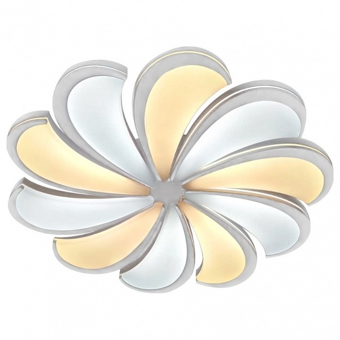 10204/10LED