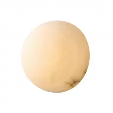 L29623