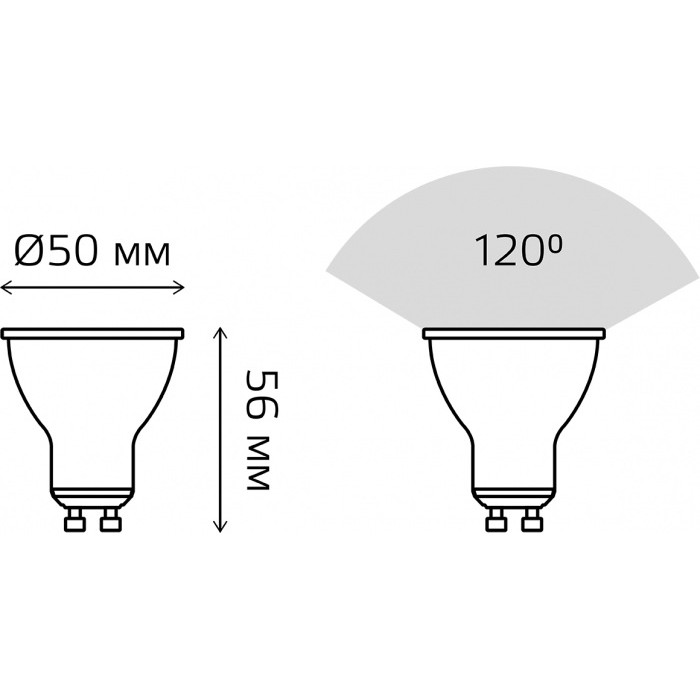 101506209