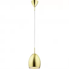 104-01-36G gold brushed