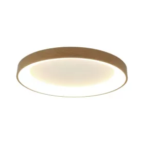 8031