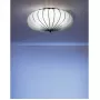 RC227-025 BLL