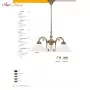 D16-25opB
