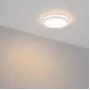 20709