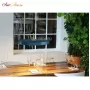 2154 Asteria