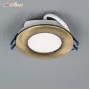 CLD008013