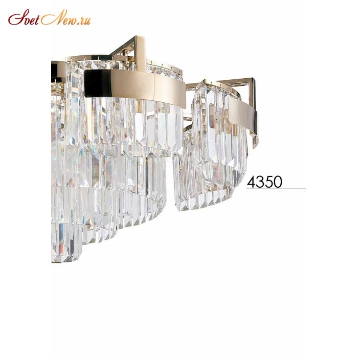 4356+6/PL gold