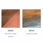 0172/1AP-BRVE-BI
