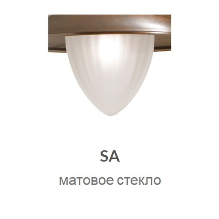 0198/1AP-BRVE-SA