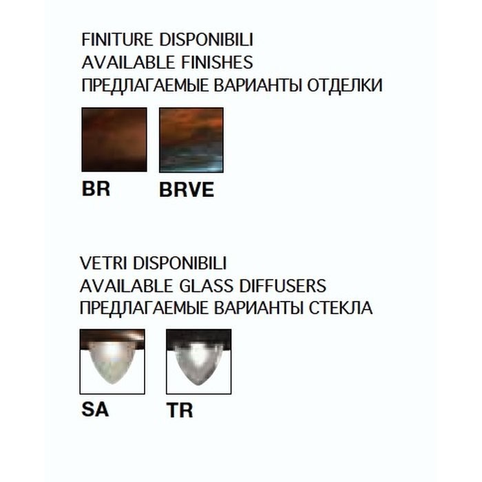 0198/1AP-BRVE-TR