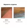 0169/1AP-PC-BRVE-BI