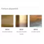 4054/3AP-BRVE