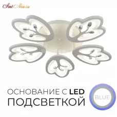 75306.01.09.05 ДОМИНИКА