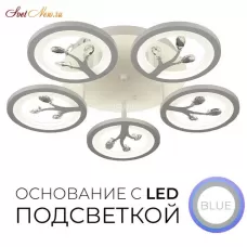 75307.01.09.05 ФЕЛИСИТИ