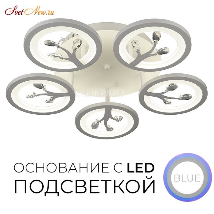 75307.01.09.05 ФЕЛИСИТИ