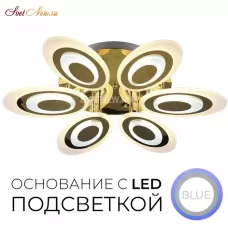 75310.01.01.06 ЭВЕЛИНА
