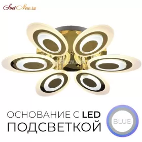 75310.01.01.06 ЭВЕЛИНА