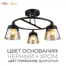66062.01.13.03 КАМИЛЬ
