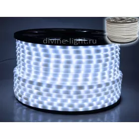 RL-DL-2WH-100-240-W