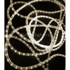 RL-DL-2WH-100-240-WW