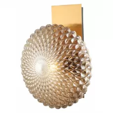2095/05/01W