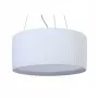 Crocus Strip S1 01 01p
