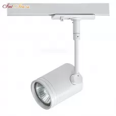 8130 white
