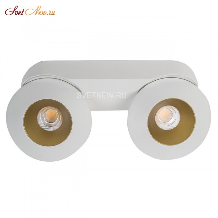 KRIS SLIM 2 White/Gold