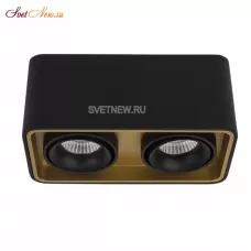 TUBING 2 Black/Gold