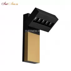 FOCUS COLD black/gold/bl