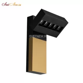 FOCUS COLD black/gold/bl