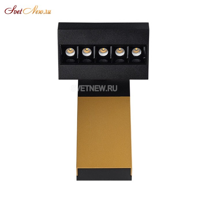 FOCUS COLD black/gold/bl