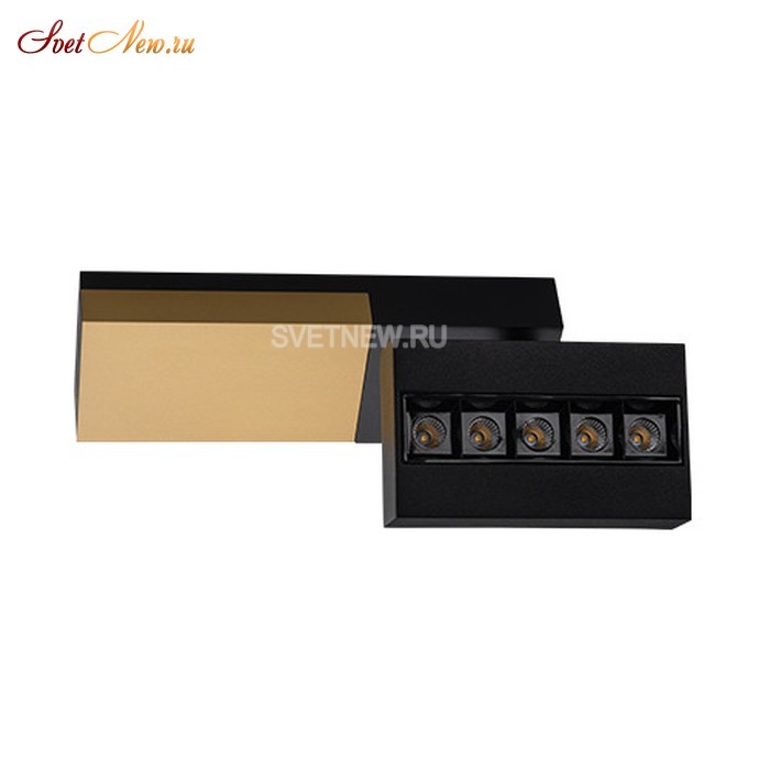 FOCUS COLD black/gold/bl