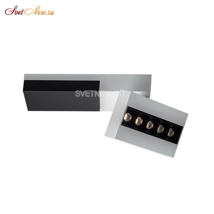 FOCUS COLD white/black/bl
