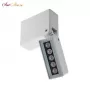 GEMINI white/black