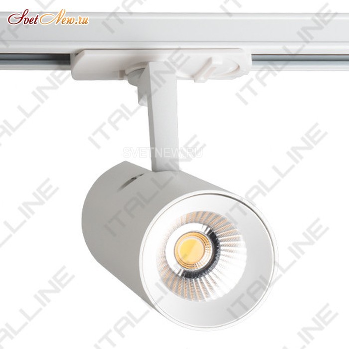 TR 3007 white
