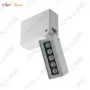 GEMINI white/black