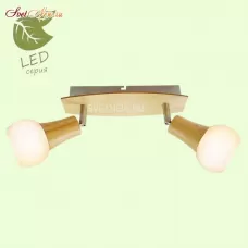 GRLSP-0120