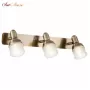 FR7003WL-03BZ