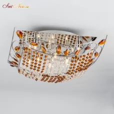 CL306196